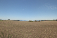 0101103-Farmington-Pan-01